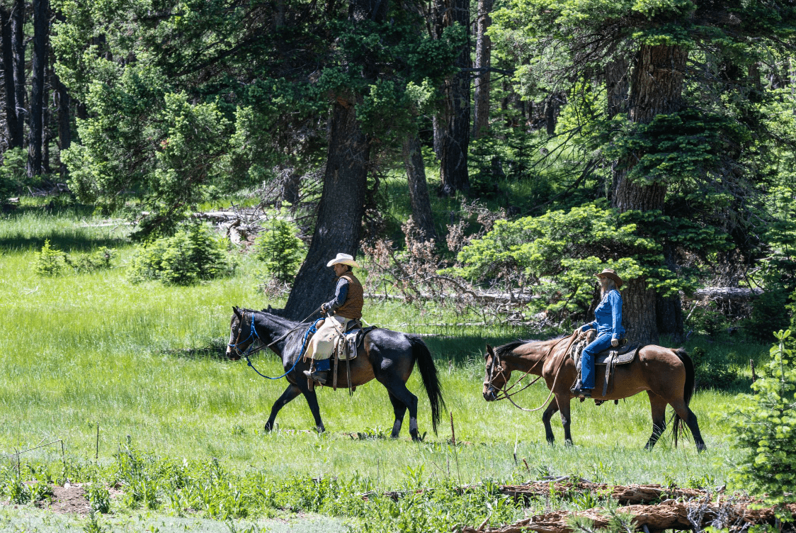 Horseback riding during the summer in Angel Fire